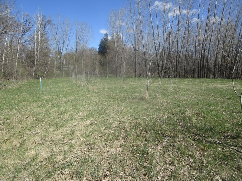 TBD Burgen Ter SE, Alexandria, MN 56308