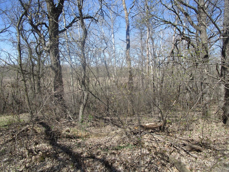 TBD Burgen Ter SE, Alexandria, MN 56308