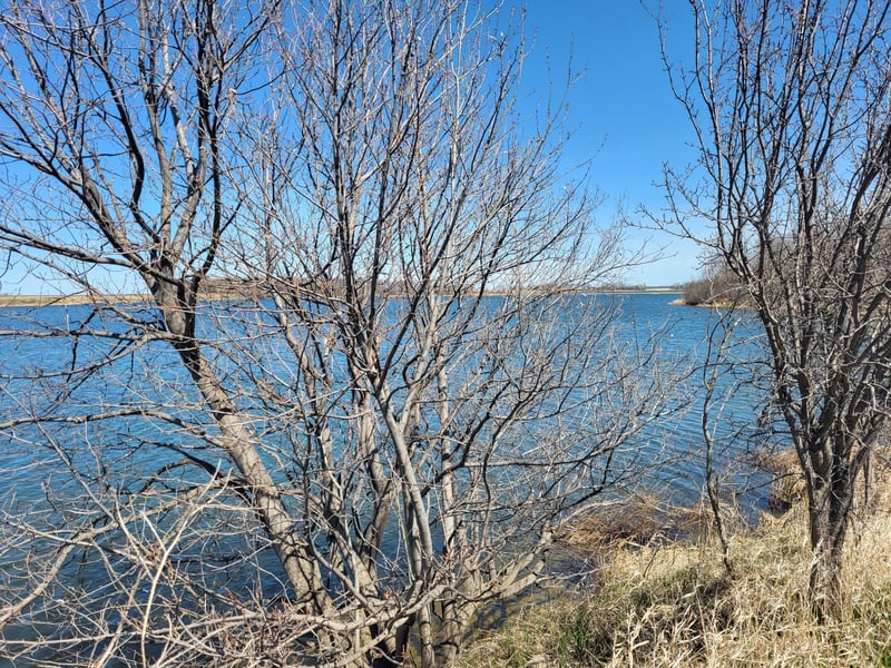 Lot 8 Southshores Cir, Lake Park, MN 56554