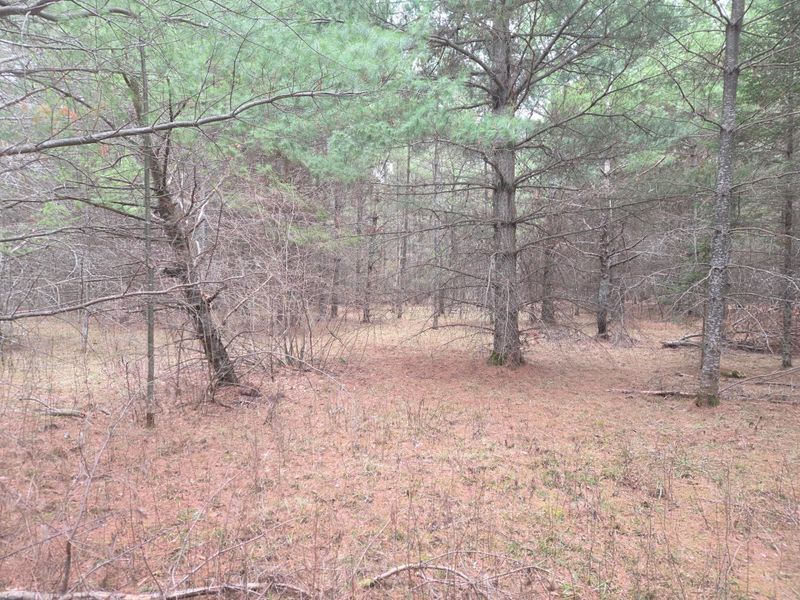 TBD 450th St Parcel C, Laporte, MN 56461