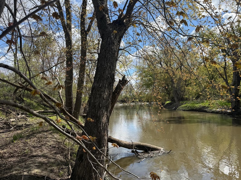 20.5 Acres Land Section 24, Springfield, MN 56087