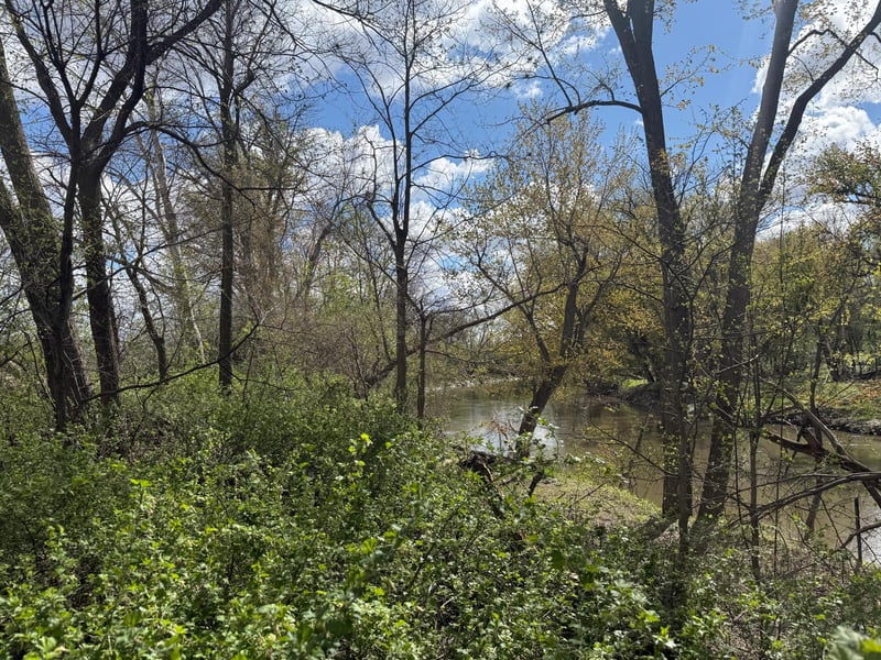 20.5 Acres Land Section 24, Springfield, MN 56087