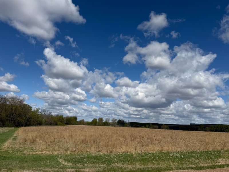 20.5 Acres Land Section 24, Springfield, MN 56087