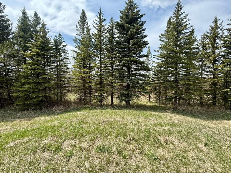 16025 245th Ave, Glenwood, MN 56334