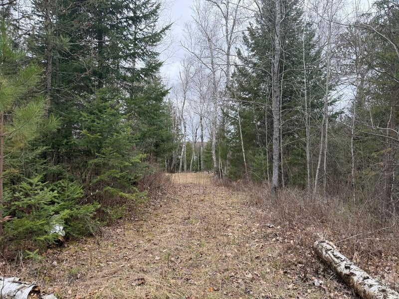31938 E Gunn Lake Trl, Marcell, MN 56657
