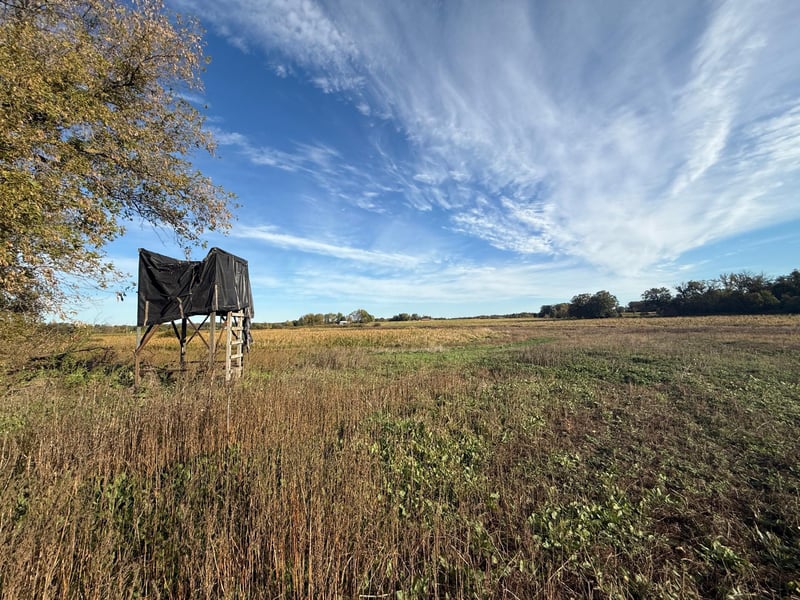 TBD Nightingale St, Braham, MN 55006