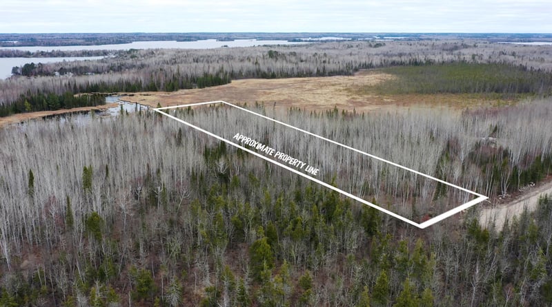 TBD Parcel 14 Hwy 115, Tower, MN 55790