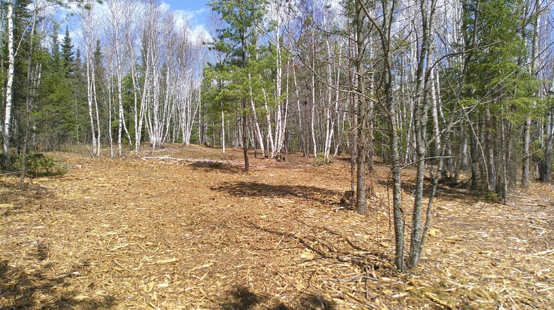 TBD Parcel I Frazer Bay Rd, Cook, MN 55723