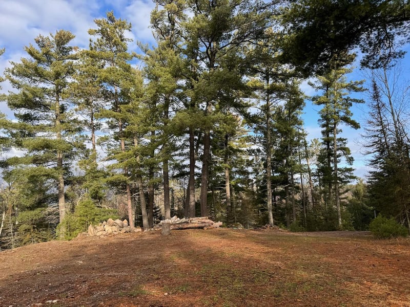 2922 Chaps Rd, Cook, MN 55723