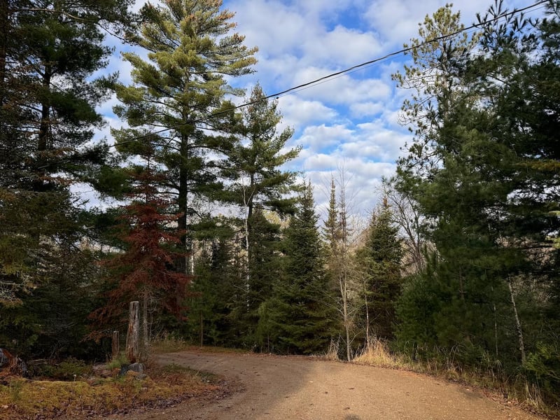 2922 Chaps Rd, Cook, MN 55723