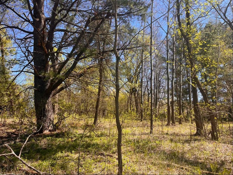 23xx River Rd, Saint Croix Falls, WI 54024