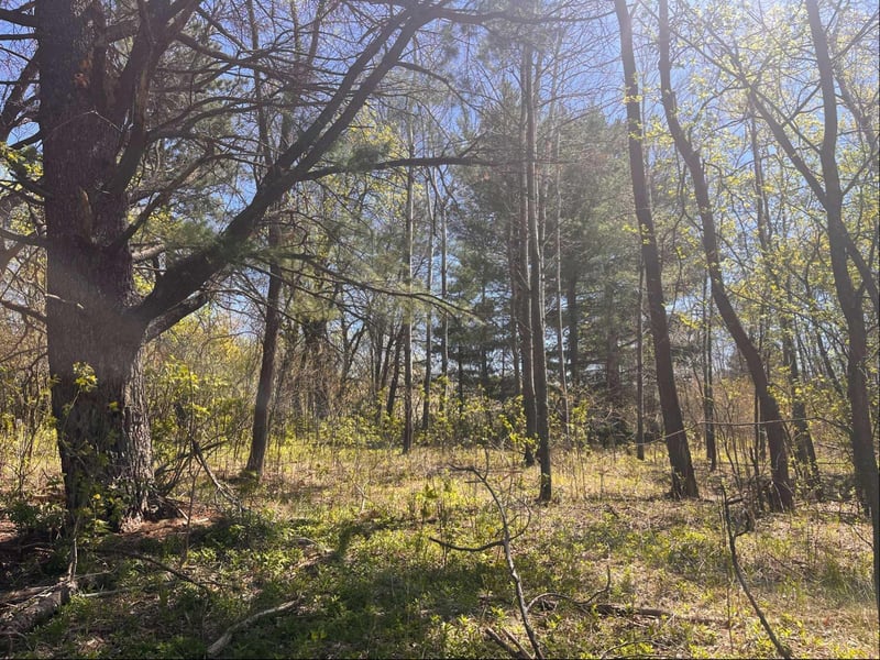 23xx River Rd, Saint Croix Falls, WI 54024