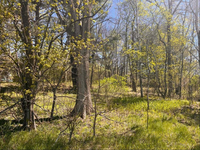23xx River Rd, Saint Croix Falls, WI 54024