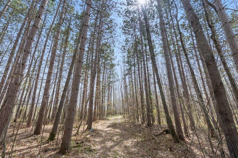 9382 County Road 8, Brainerd, MN 56401