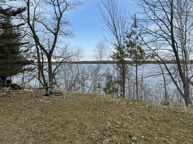 8219 Lone Wolf Dr NE, Pennington, MN 56663