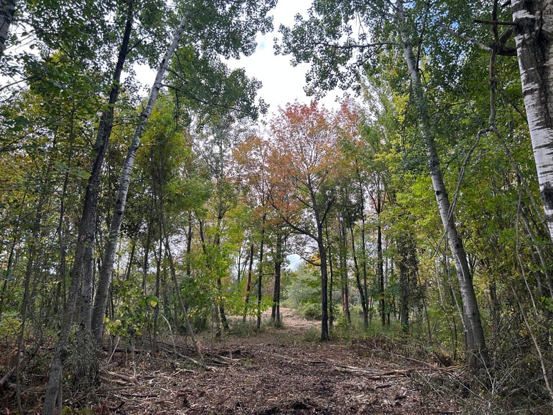 TBD 250th St, Aitkin, MN 56431