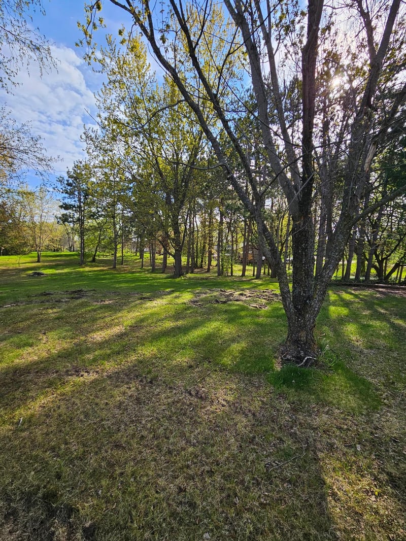 97XX Ireland Ave NW, Annandale, MN 55302