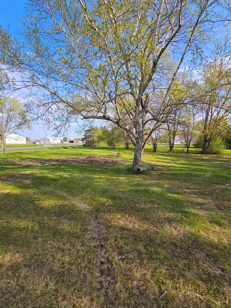 97XX Ireland Ave NW, Annandale, MN 55302