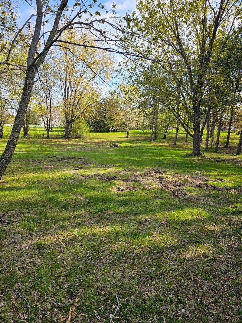 97XX Ireland Ave NW, Annandale, MN 55302