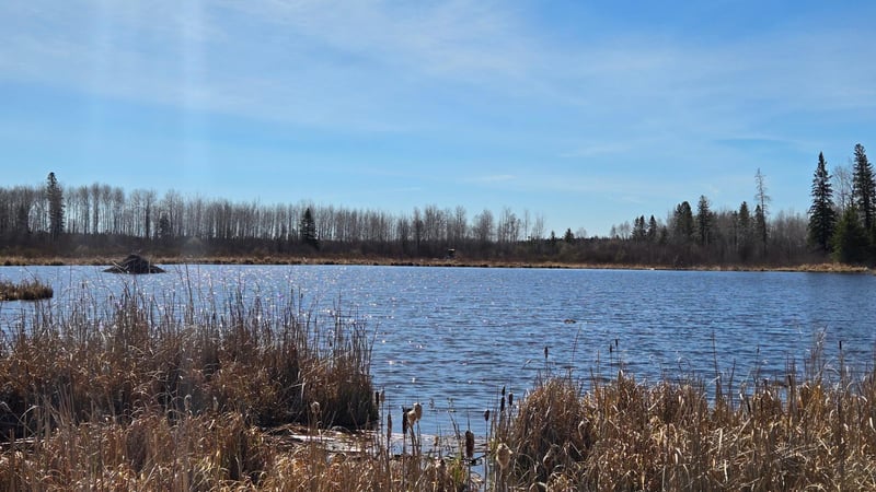 TBD 43 Lummi Rd, Orr, MN 55771