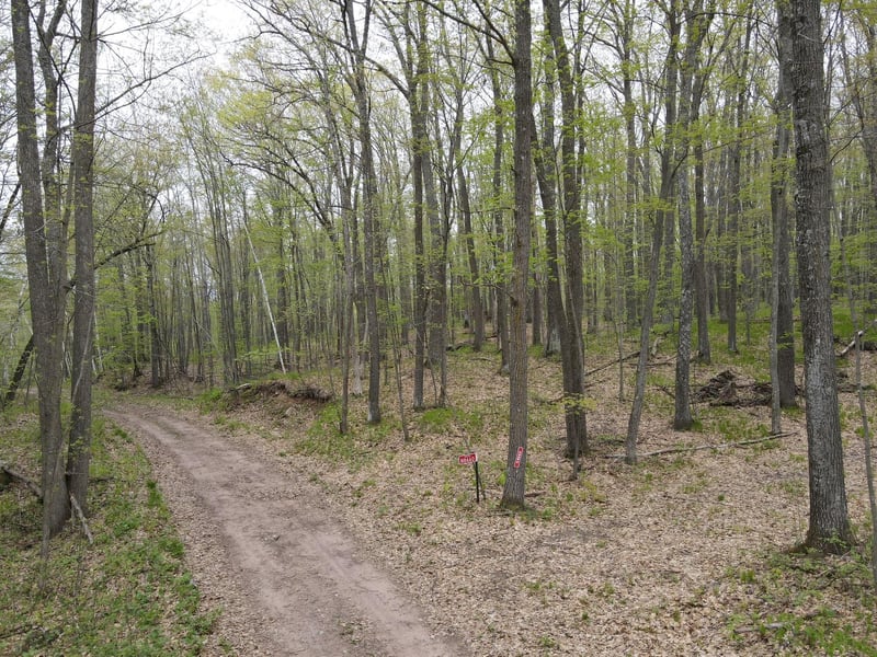 N8660 Sand Pit Rd, Trego, WI 54888