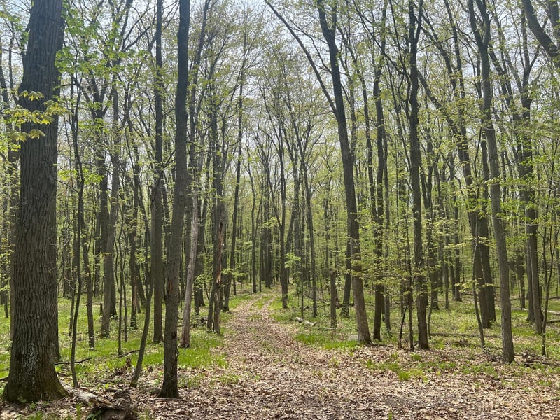 N8660 Sand Pit Rd, Trego, WI 54888