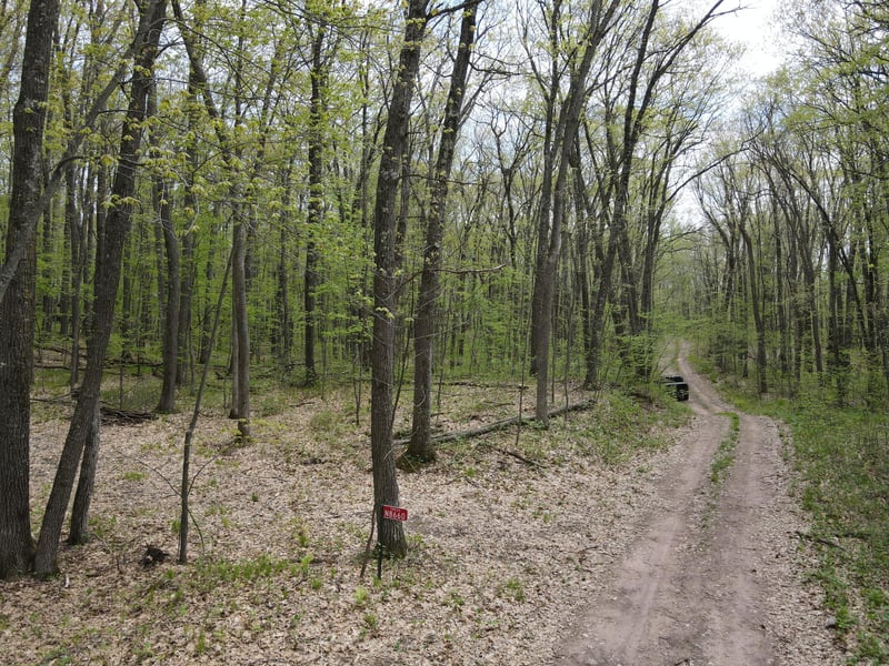 N8660 Sand Pit Rd, Trego, WI 54888