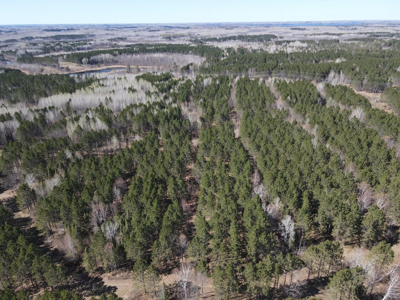0 Maple Grove Rd, Cloquet, MN 55720