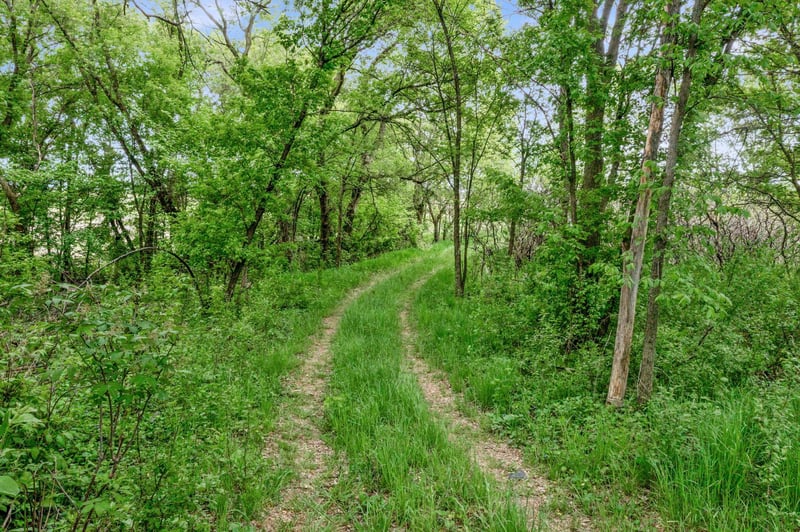 12290 62nd St NW, Annandale, MN 55302