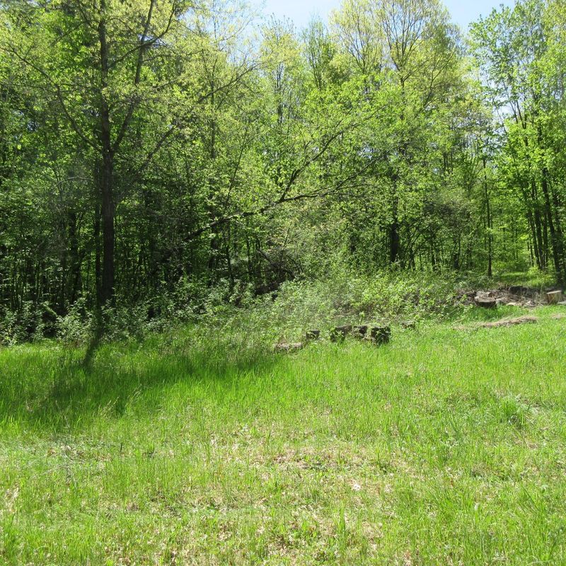 xxx 810th Ave, Boyceville, WI 54751