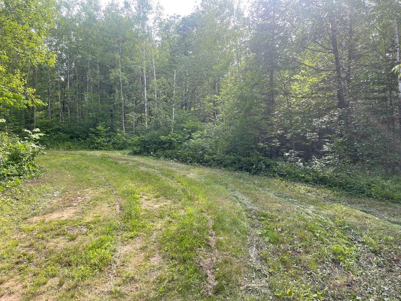 31069 Duluth Missabe And Iron, Pengilly, MN 55775