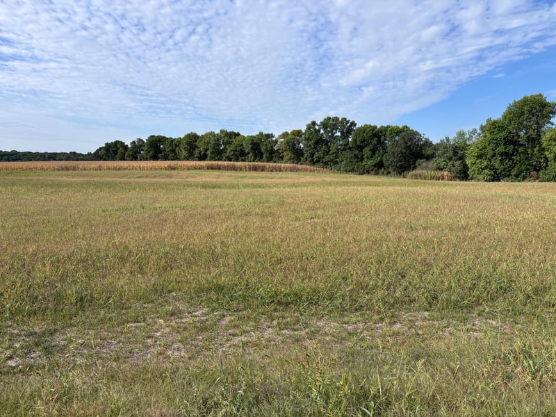TBD Lot 7 BLK 3 Chainview Ct NW, Alexandria, MN 56308