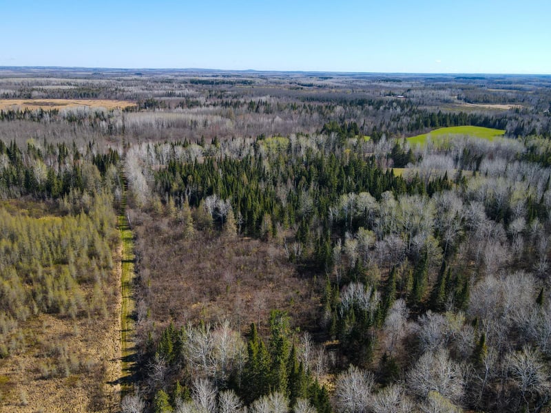 Parcel A Township Road D, Wawina, MN 55736