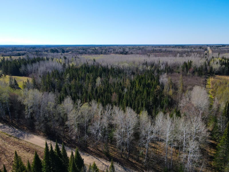 Parcel A Township Road D, Wawina, MN 55736
