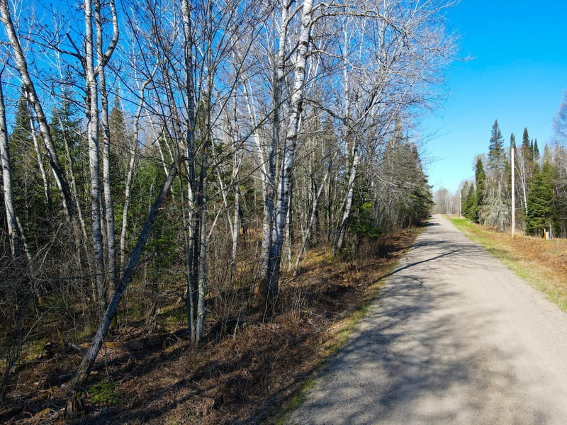Parcel A Township Road D, Wawina, MN 55736
