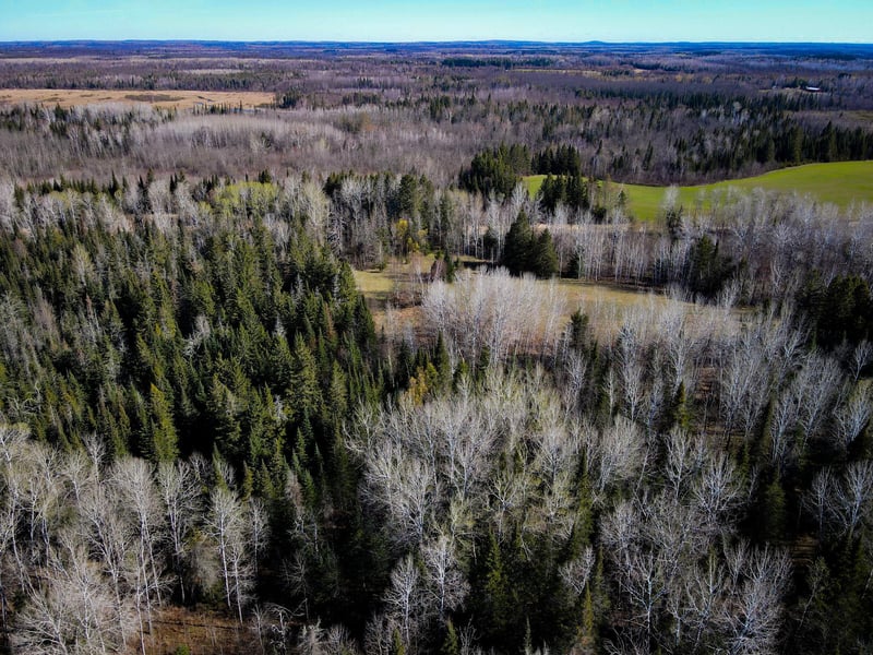 12905 Township Road D, Wawina, MN 55736