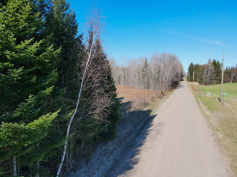 Parcel D Township Road D, Wawina, MN 55736