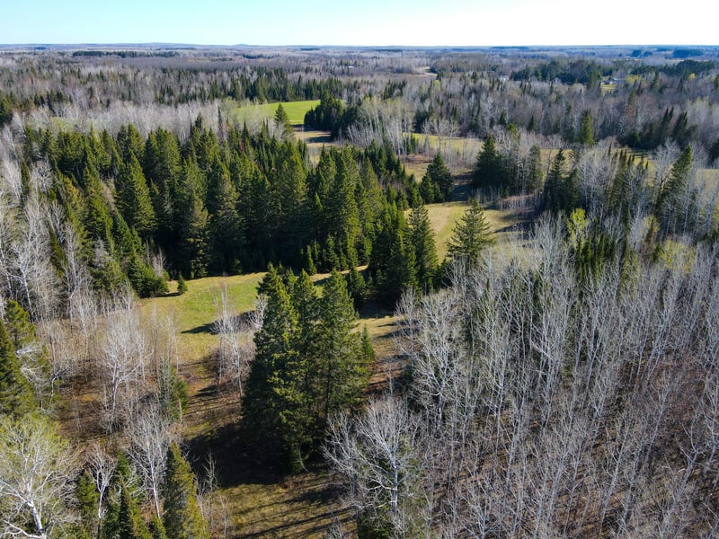 Parcel D Township Road D, Wawina, MN 55736