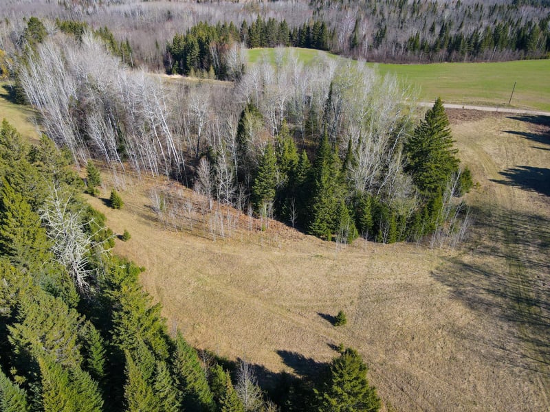 Parcel D Township Road D, Wawina, MN 55736