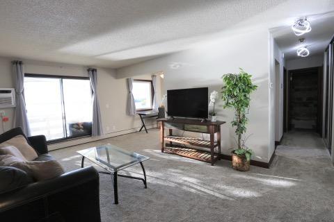 4363 Wilshire Blvd #302, Mound, MN 55364