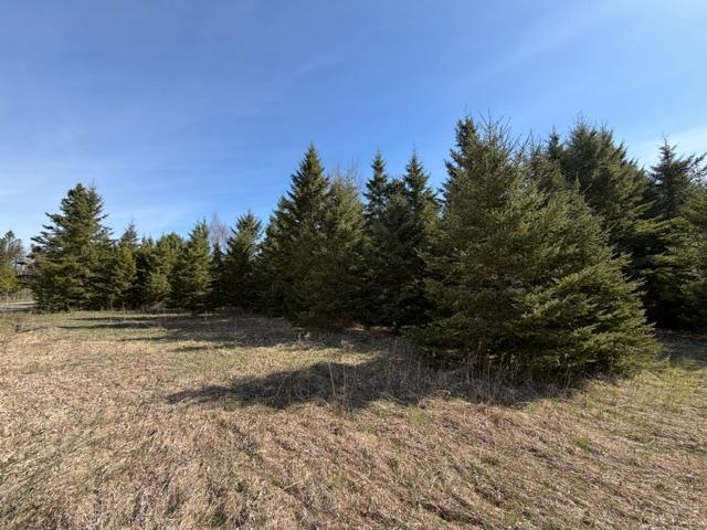 TBD 66th Ave NE, Remer, MN 56672