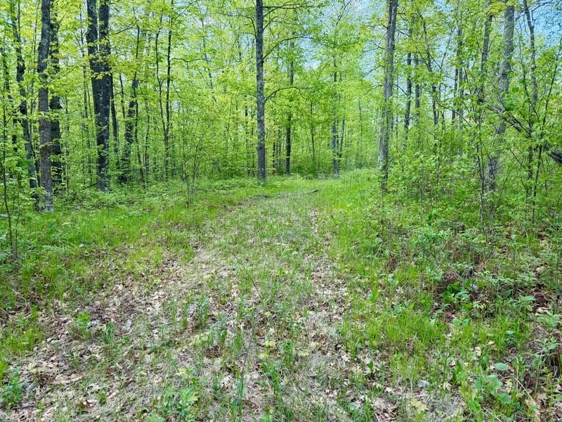 9072 County 8 NE, Remer, MN 56672