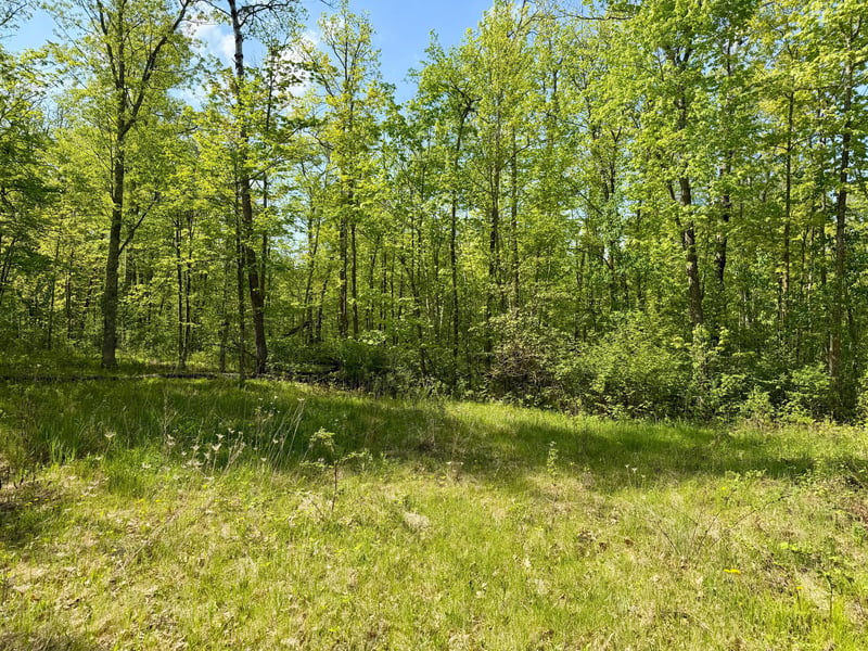 9072 County 8 NE, Remer, MN 56672