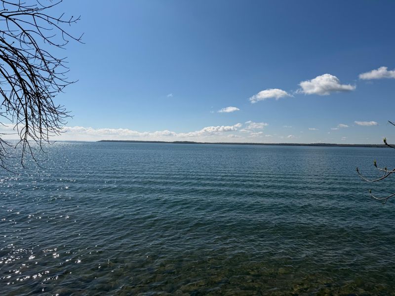 TBD Pine Point Dr, Walker, MN 56484