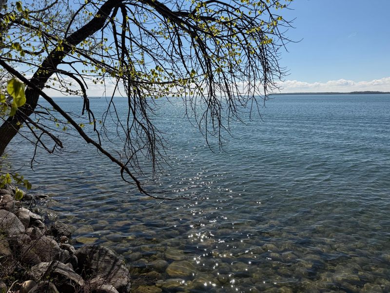 TBD Pine Point Dr, Walker, MN 56484
