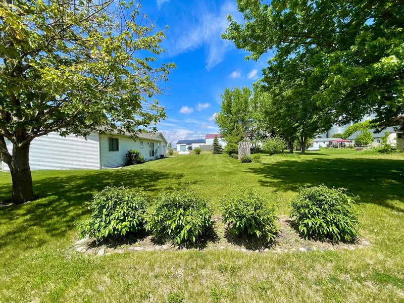 208 Broad St S, Comfrey, MN 56019