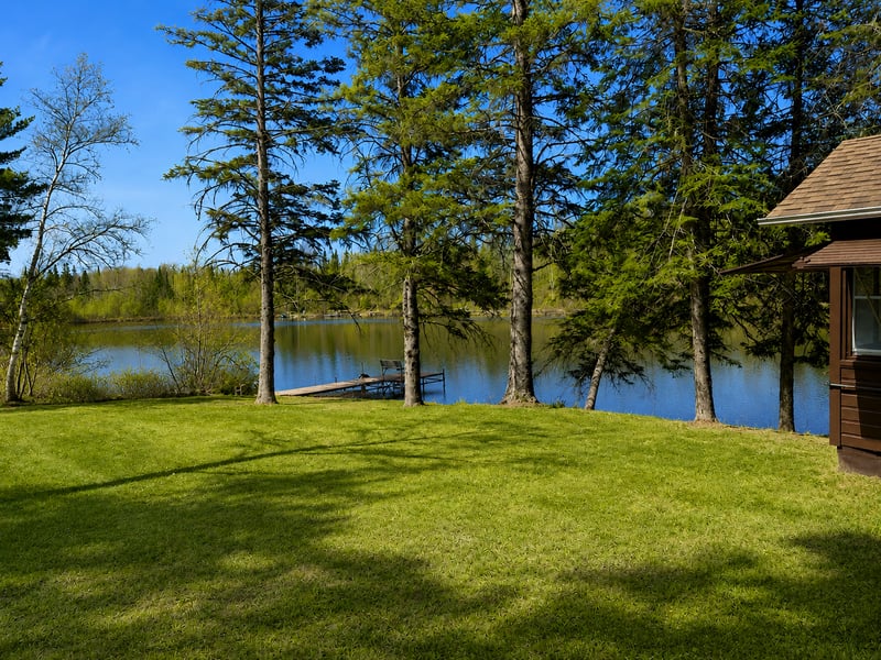 49692 Horseshoe Lake Rd, Marcell, MN 56657