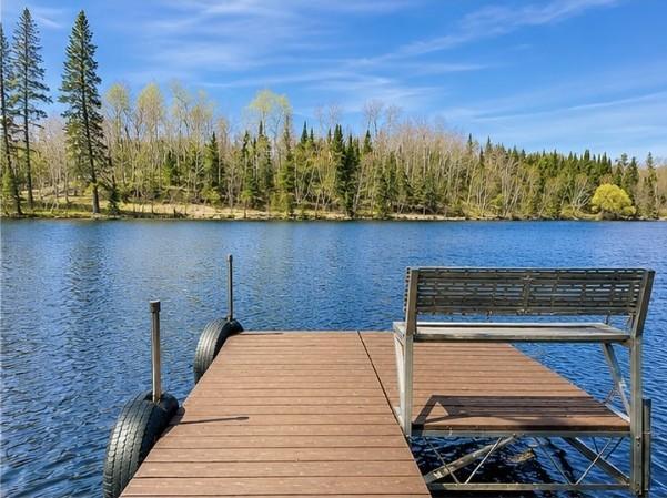 49692 Horseshoe Lake Rd, Marcell, MN 56657