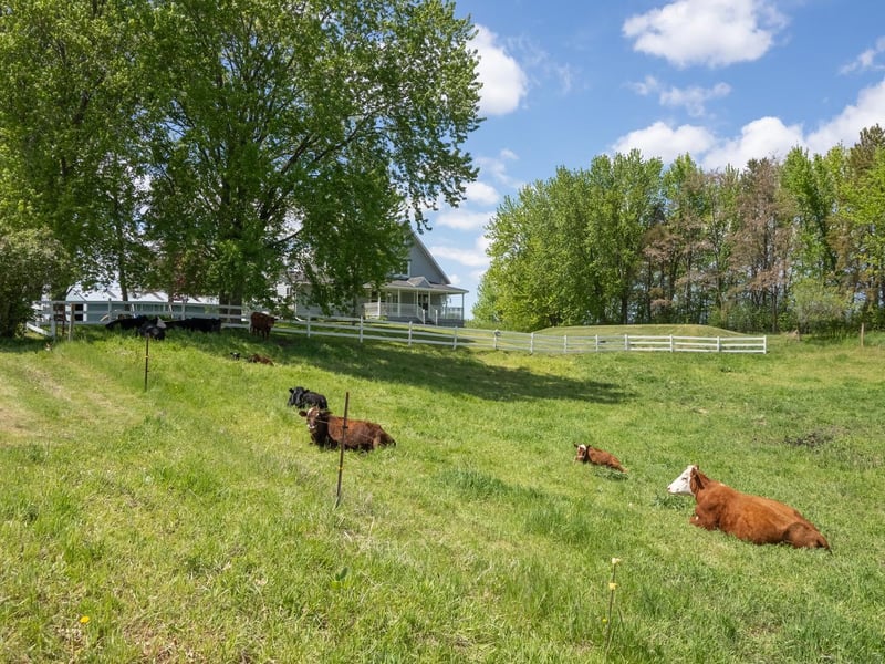 38500 Holly St NW, Stanchfield, MN 55080