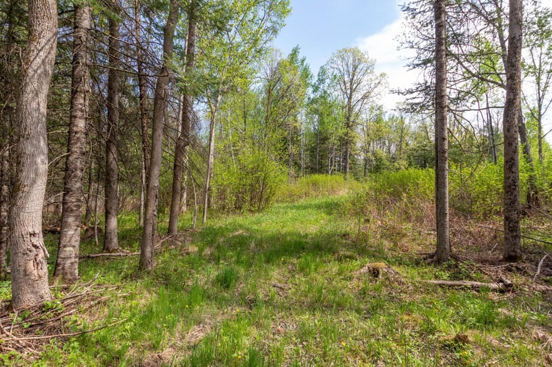 TBD Stephani Rd NW, Puposky, MN 56667
